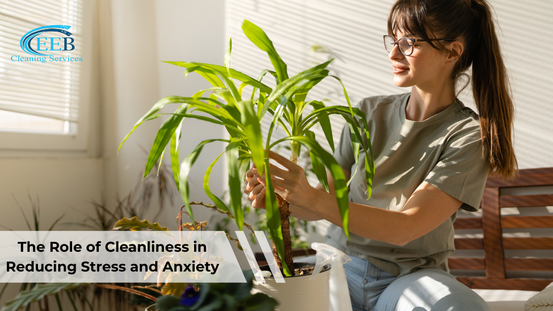 The Role of Cleanliness in Reducing Stress and Anxiety