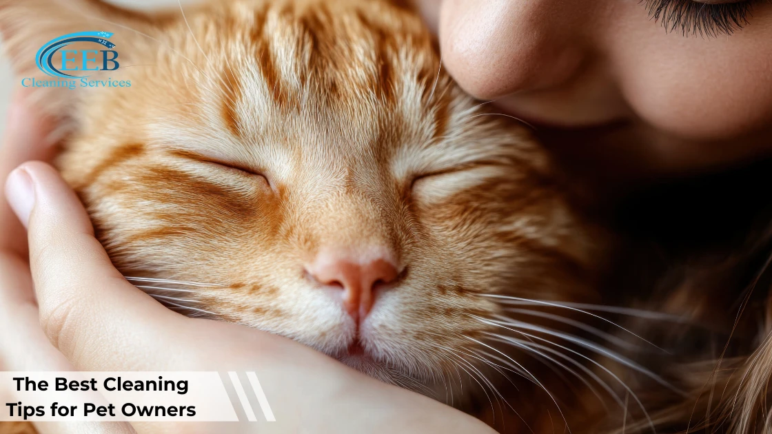 The Best Cleaning Tips for Pet Owners