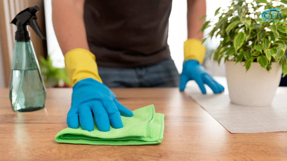 How to Maintain a Clean Home with a Hectic Lifestyle